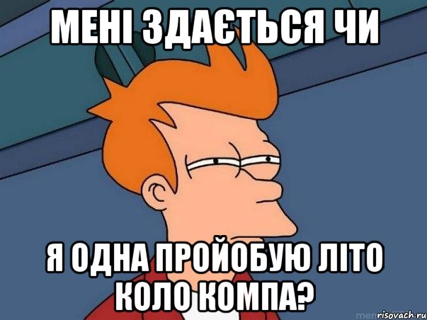 мені здається чи я одна пройобую літо коло компа?, Мем  Фрай (мне кажется или)