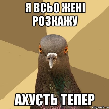 я всьо Жені розкажу ахуєть тепер, Мем голубь