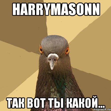 HARRYMASONN Так вот ты какой..., Мем голубь