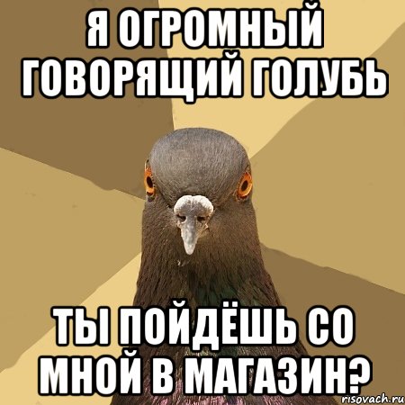 Я ОГРОМНЫЙ ГОВОРЯЩИЙ ГОЛУБЬ ТЫ ПОЙДЁШЬ СО МНОЙ В МАГАЗИН?, Мем голубь