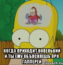  Когда приходит новенький и ты ему объясняешь про галлереи, Мем  Гомер Симпсон