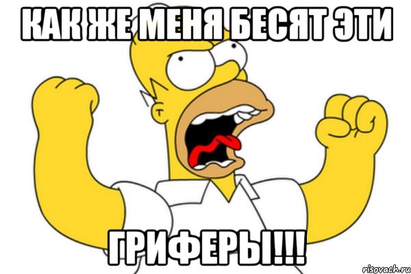 Как же меня бесят эти ГРИФЕРЫ!!!, Мем Разъяренный Гомер