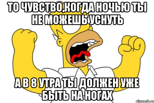 то чувство,когда ночью ты не можешь уснуть а в 8 утра ты должен уже быть на ногах, Мем Разъяренный Гомер