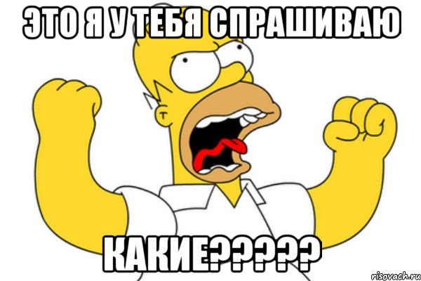 Это я у тебя спрашиваю Какие?????, Мем Разъяренный Гомер