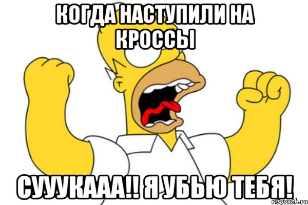 когда наступили на кроссы сууукааа!! я убью тебя!, Мем Разъяренный Гомер