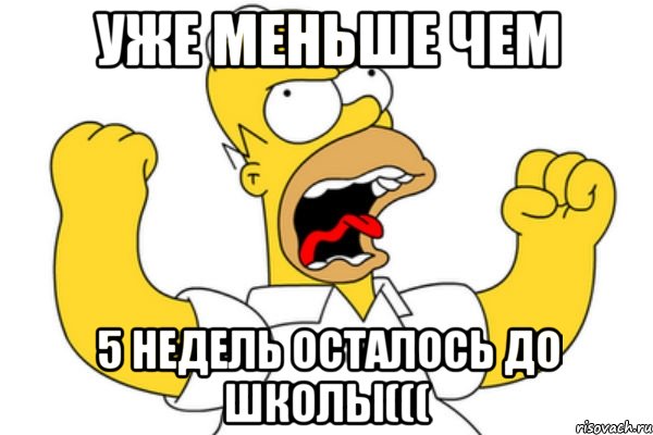 Уже меньше чем 5 недель осталось до школы(((, Мем Разъяренный Гомер