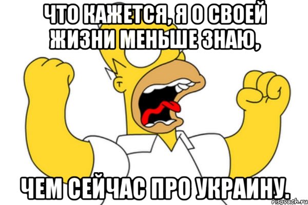 что кажется, я о своей жизни меньше знаю, чем сейчас про Украину., Мем Разъяренный Гомер