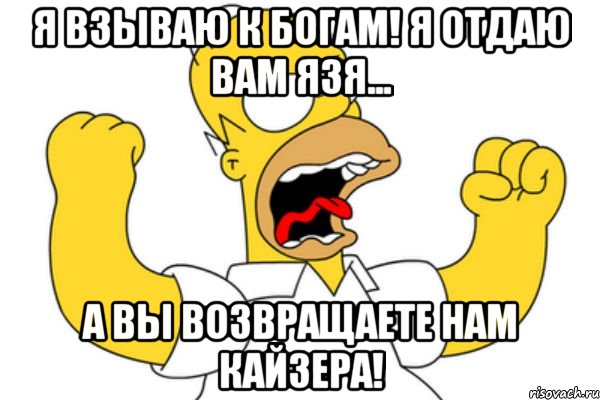 Я взываю к богам! Я отдаю вам Язя... а вы возвращаете нам Кайзера!, Мем Разъяренный Гомер