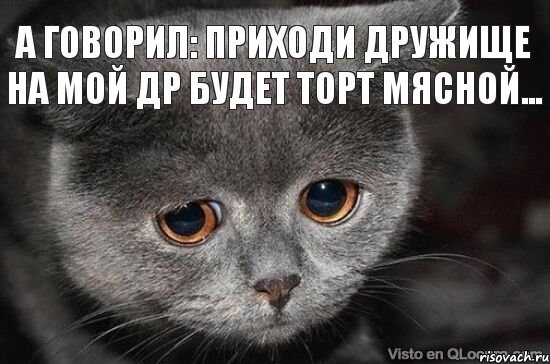 А говорил: Приходи дружище на мой ДР будет торт мясной..., Мем  Грустный кот