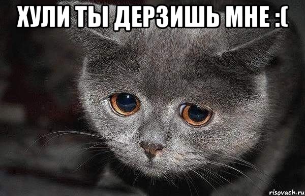 Хули ты дерзишь мне :( , Мем  Грустный кот