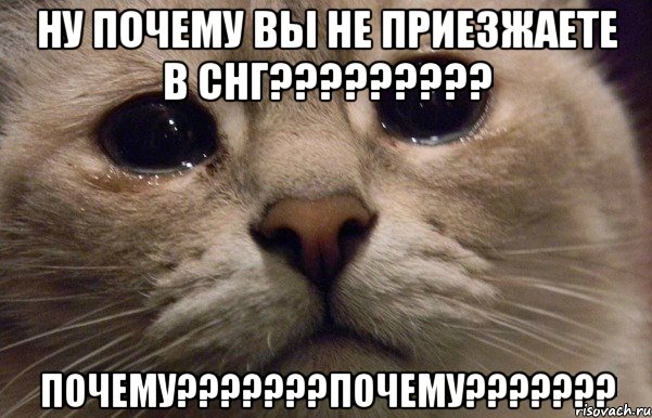 Ну почему вы не приезжаете в СНГ????????? ПОЧЕМУ???????ПОЧЕМУ???????, Мем   В мире грустит один котик