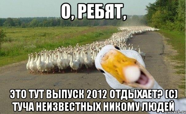 О, ребят, Это тут выпуск 2012 отдыхает? (с) Туча неизвестных никому людей, Мем гуси