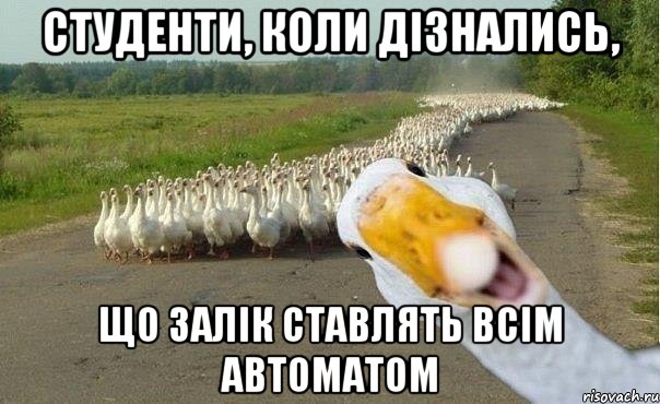 Студенти, коли дізнались, що залік ставлять всім автоматом, Мем гуси