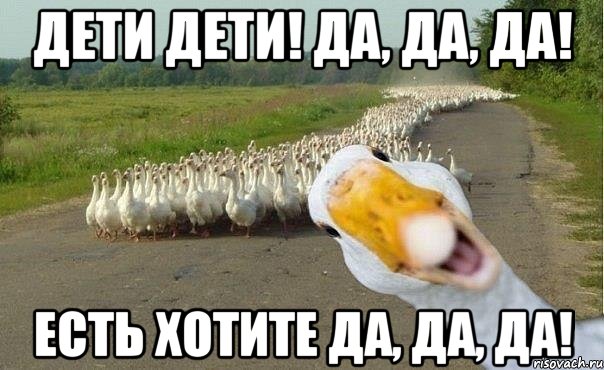 Дети дети! Да, да, да! Есть хотите да, да, да!, Мем гуси