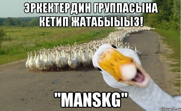 Эркектердин группасына кетип жатабыыыз! "mansKG", Мем гуси
