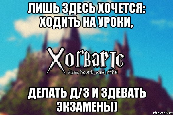 Лишь здесь хочется: ходить на уроки, делать д/з и здевать экзамены), Мем Хогвартс