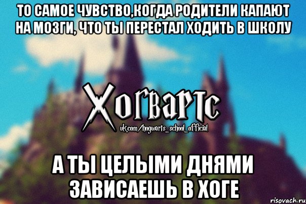 То самое чувство,когда родители капают на мозги, что ты перестал ходить в школу А ты целыми днями зависаешь в Хоге, Мем Хогвартс