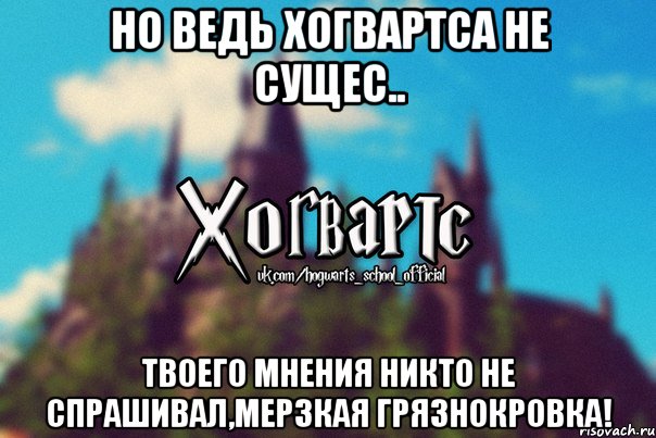 но ведь Хогвартса не сущес.. твоего мнения никто не спрашивал,мерзкая грязнокровка!, Мем Хогвартс