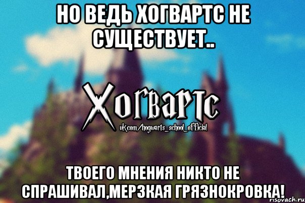 но ведь Хогвартс не существует.. твоего мнения никто не спрашивал,мерзкая грязнокровка!, Мем Хогвартс