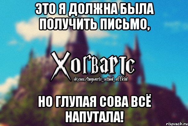 это я должна была получить письмо, но глупая сова всё напутала!, Мем Хогвартс