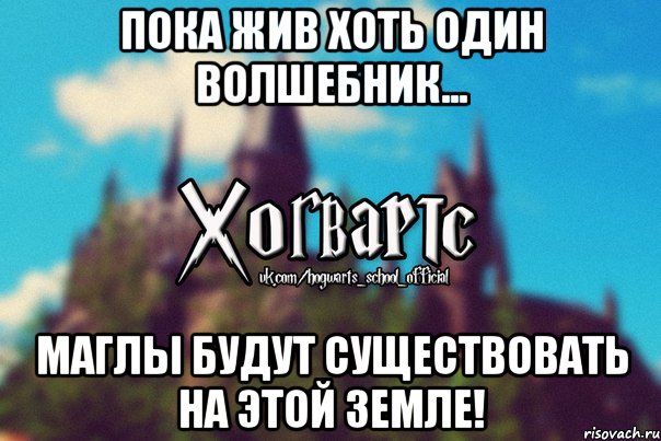 Пока жив хоть один волшебник... Маглы будут существовать на этой земле!, Мем Хогвартс