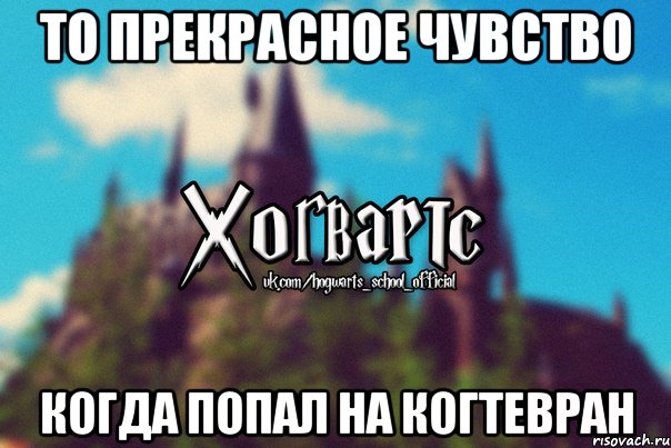 ТО ПРЕКРАСНОЕ ЧУВСТВО КОГДА ПОПАЛ НА КОГТЕВРАН, Мем Хогвартс