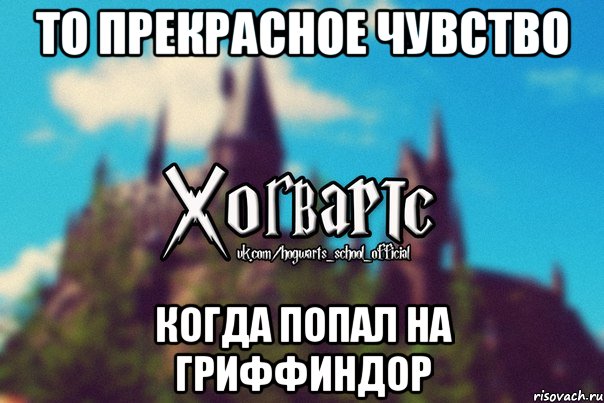 ТО ПРЕКРАСНОЕ ЧУВСТВО КОГДА ПОПАЛ НА ГРИФФИНДОР, Мем Хогвартс