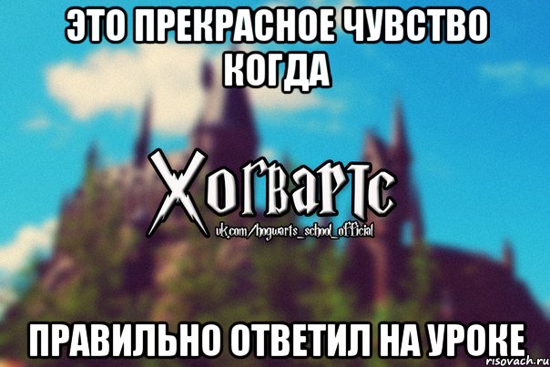 Это прекрасное чувство когда Правильно ответил на уроке, Мем Хогвартс