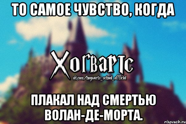 То самое чувство, когда Плакал над смертью Волан-Де-Морта., Мем Хогвартс