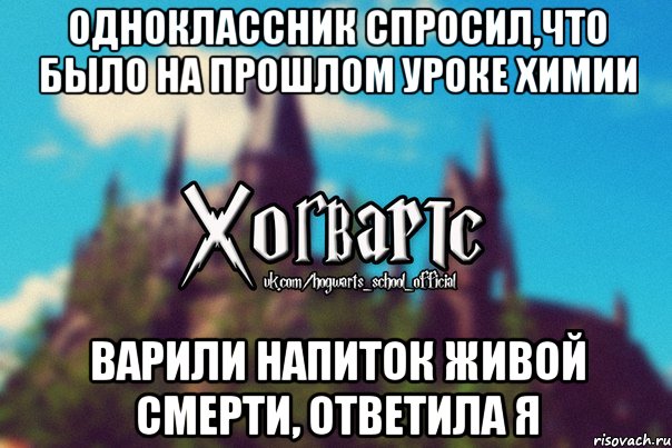 одноклассник спросил,что было на прошлом уроке химии варили напиток живой смерти, ответила я, Мем Хогвартс