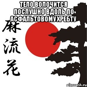 Тело волочится послушно вдоль по асфальтовому хребту , Мем Хокку