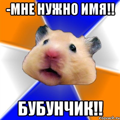 -Мне нужно имя!! БУБУНЧИК!!, Мем Хомяк