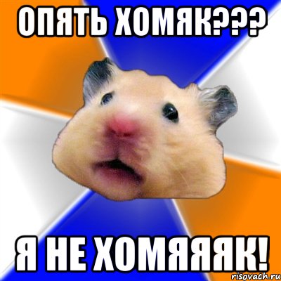 Опять хомяк??? Я не ХОМЯЯЯК!, Мем Хомяк