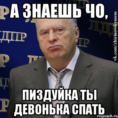 а знаешь чо, пиздуйка ты девонька спать, Мем Хватит это терпеть (Жириновский)