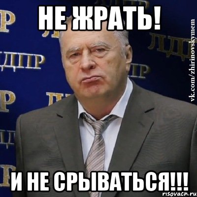 НЕ ЖРАТЬ! И НЕ СРЫВАТЬСЯ!!!, Мем Хватит это терпеть (Жириновский)