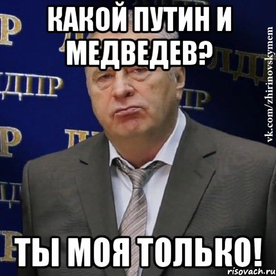 Какой Путин и Медведев? Ты моя только!, Мем Хватит это терпеть (Жириновский)