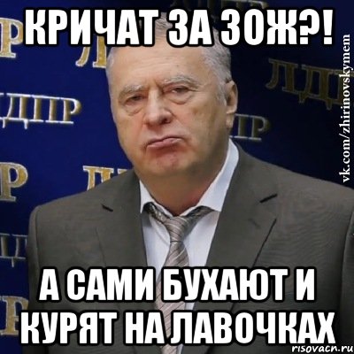 Кричат за ЗОЖ?! а сами бухают и курят на лавочках, Мем Хватит это терпеть (Жириновский)