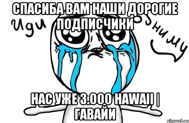 Спасиба вам НАШИ ДОРОГИЕ ПОДПИСЧИКИ НАС УЖЕ 3.000 HAWAII | Гавайи, Мем Иди обниму