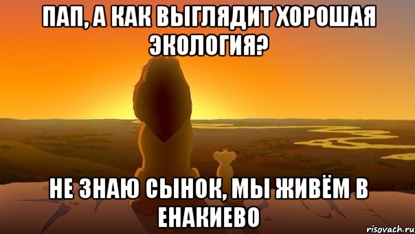 ПАП, а как выглядит ХОРОшАЯ ЭКОЛОГИЯ? Не знаю сынок, мы живём в Енакиево