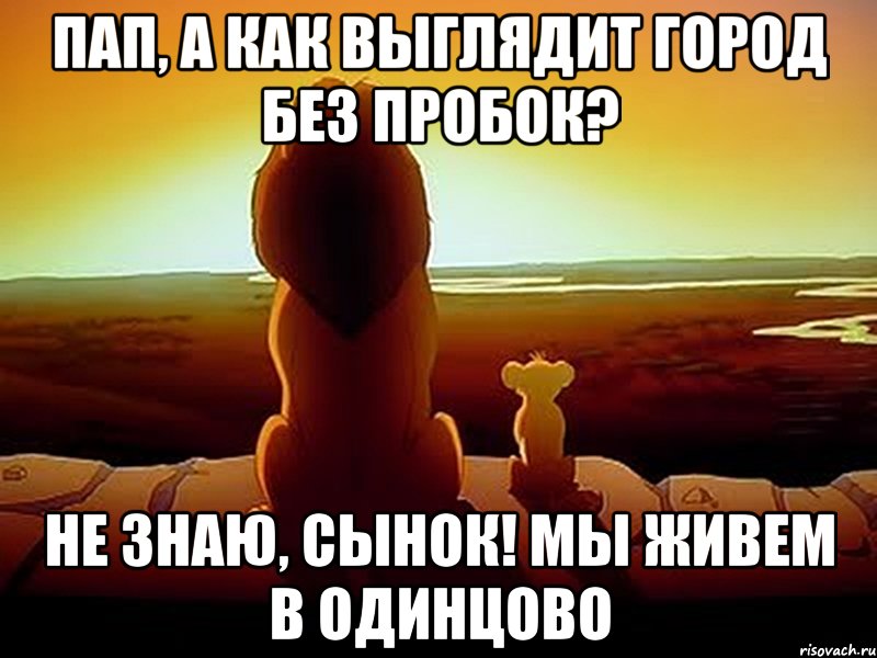 пап, а как выглядит город без пробок? не знаю, сынок! мы живем в одинцово, Мем  король лев