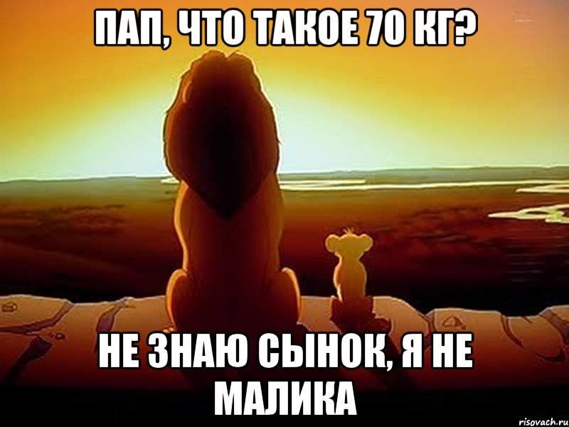 Пап, что такое 70 кг? Не знаю сынок, я не Малика, Мем  король лев