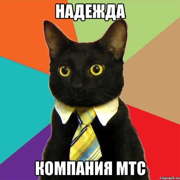 Надежда компания МТС, Мем  Кошечка