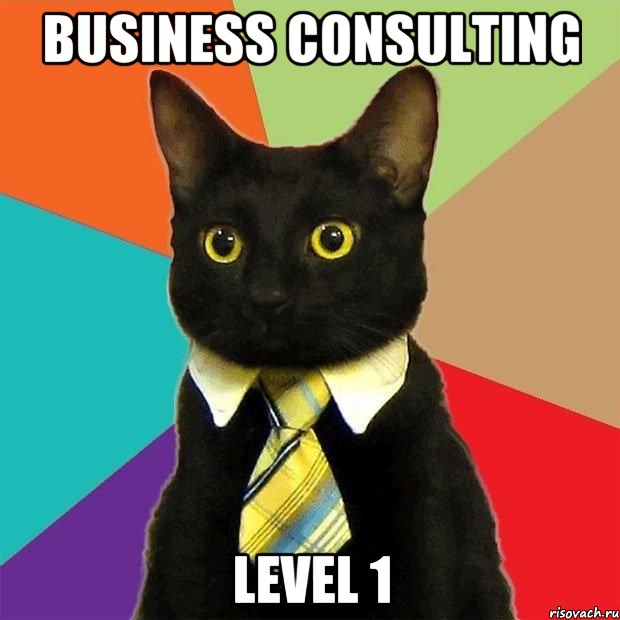 BUSINESS CONSULTING level 1, Мем  Кошечка