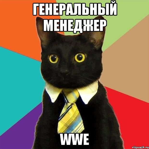 Генеральный Менеджер WWE, Мем  Кошечка