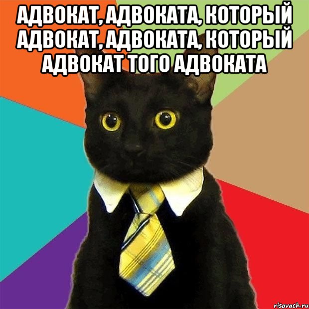 адвокат, адвоката, который адвокат, адвоката, который адвокат того адвоката , Мем  Кошечка