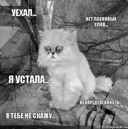 уехал... нет ласковых слов... я тебе не скажу... неопределённость... я устала..., Комикс  кот безысходность