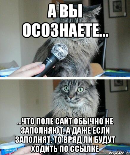 а вы осознаете... ...что поле сайт обычно не заполняют, а даже если заполнят, то вряд ли будут ходить по ссылке, Комикс  кот с микрофоном