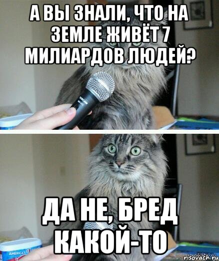 а вы знали, что на земле живёт 7 милиардов людей? да не, бред какой-то, Комикс  кот с микрофоном