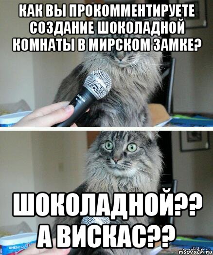 Как вы прокомментируете создание шоколадной комнаты в Мирском замке? Шоколадной?? А вискас??, Комикс  кот с микрофоном