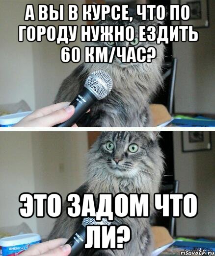 А вы в курсе, что по городу нужно ездить 60 км/час? Это задом что ли?, Комикс  кот с микрофоном